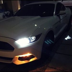 Meet your Posher, Livan